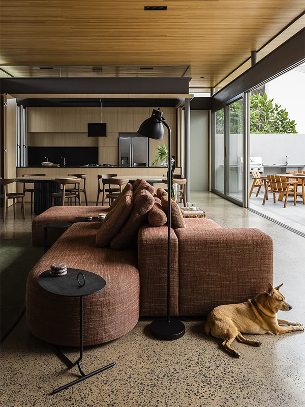 sala de estar da Triângulo HOuse, com um sofá avermelhado ao centro e um cachorro apoiado no sofá à direita. No fundo, está a cozinha<span height=