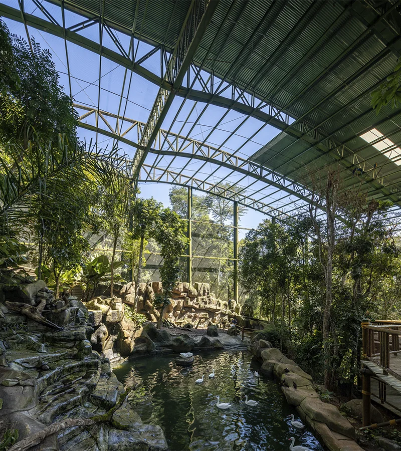 Foto de um lago, em uma floresta, dentro de uma estrutura metálica, como um zoológico
