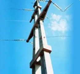 Produzidos em concreto, postes são úteis em redes e dividem-se em quatro tipos
