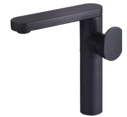 Torneira Clean – Monocomando – Aço Inox Preto QSM-B9011