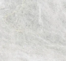 Traviatta Gris