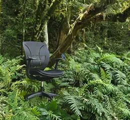 Linha Eco - Marelli
