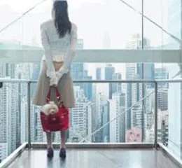 Elevadores Personalizados Panorâmicos