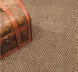 Carpete com proteção antibacteriana fabricado com 100% Nylon (SDN)