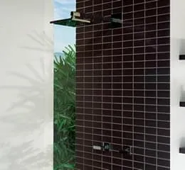 Linha Coloríssima