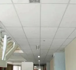 Forros Gyprex® Liso e Linho