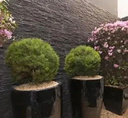 Linha Murale Línea de Revestimentos Cimentícios