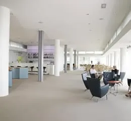 Forro Mineral OWAPlan 