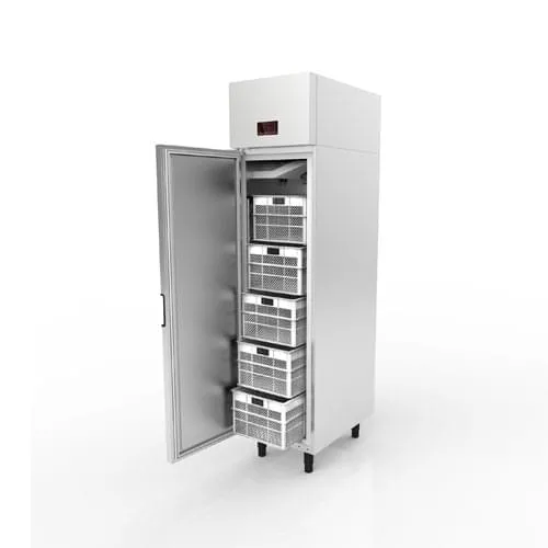 Minicâmara Congelada