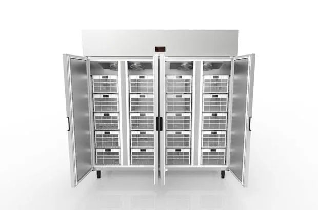 Minicâmara Congelada