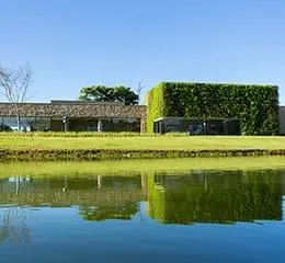 Módulos Cerâmicos para Jardins Verticais