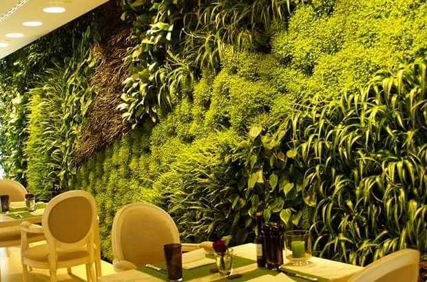 Jardim Vertical