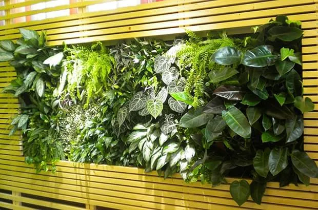 Jardim Vertical