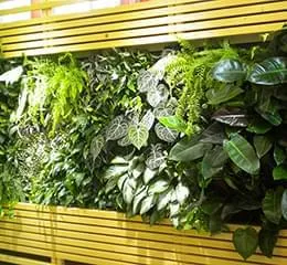 Jardim Vertical