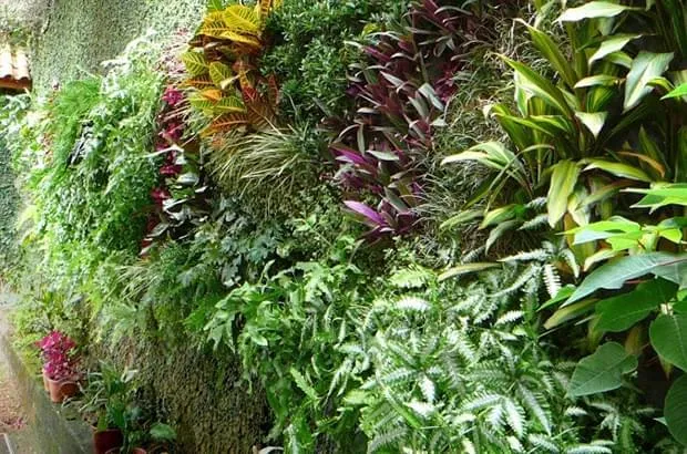 Jardim Vertical