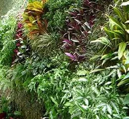 Jardim Vertical