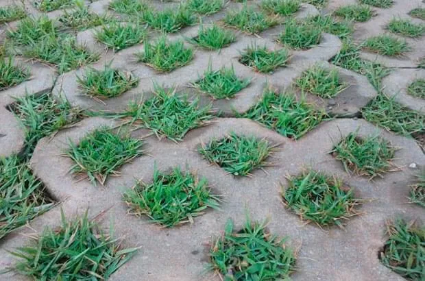 Piso Grama – Pavimenti