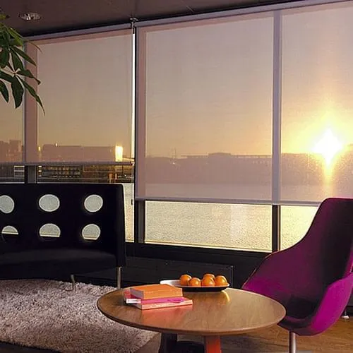 Papel de Parede e Persianas – Palpite