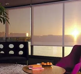 Papel de Parede e Persianas – Palpite