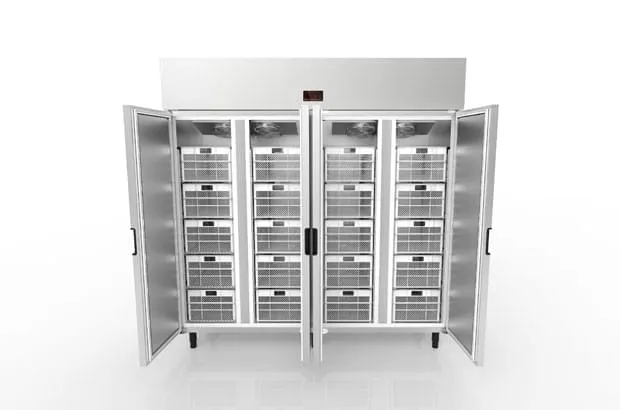 Minicâmara Resfriada