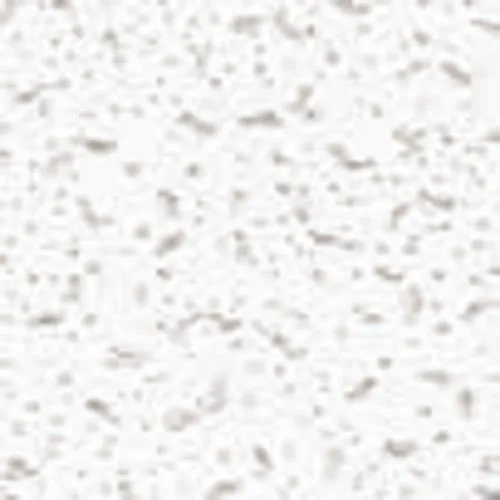 THERMATEX® Feinfresko