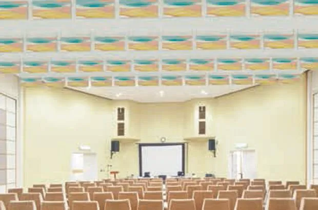 THERMATEX® Baffle Exclusive