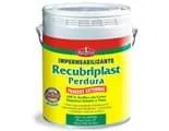 Recubriplast Perdura
