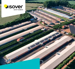 Download de catálogo