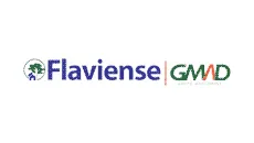 Flaviense RJ - Logo