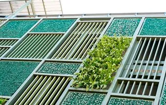 Veja por que os corredores verdes não substituem a vegetação nativa