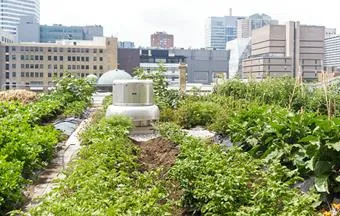 Agrihood é empreendimento com qualidade de vida