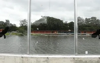 Muros e portões de vidro aumentam a segurança de empreendimentos