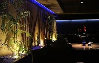 Iluminação bem planejada garante conforto visual e relaxamento