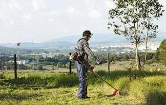 Manutenção prolonga vida útil de equipamentos de jardinagem
