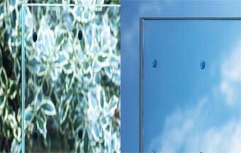 Vidros Bird Friendly: evitam a colisão de pássaros 