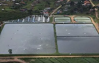 ETE ecológica de Juturnaíba é considerada a maior da América Latina