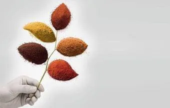 Bayferrox®: pigmento de óxido de ferro garante coloração bela e sustentável