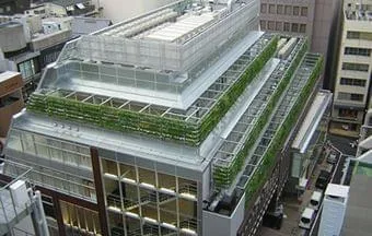 Brises verdes conferem conforto térmico e reduzem o ruído dos centros urbanos