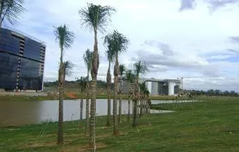 Belos gramados demandam correta especificação e manutenção