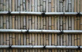 Bambu pode suportar carga superior à do próprio aço