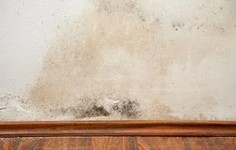 Umidade na parede: saiba como evitar e resolver