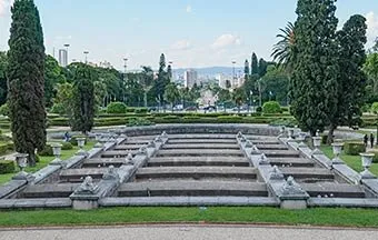 Img_card
