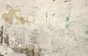 Manifestações patológicas associadas à argamassa de revestimento