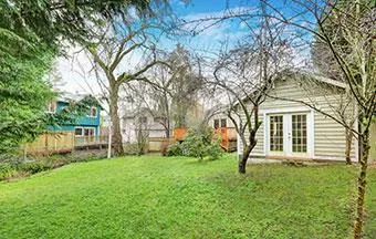 Quintais verdes melhoram o clima em grandes centros urbanos