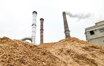 Reciclagem de madeira evolui de maneira rápida, mas desorganizada