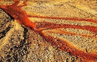 Contaminação de solo: cuidados e recuperação