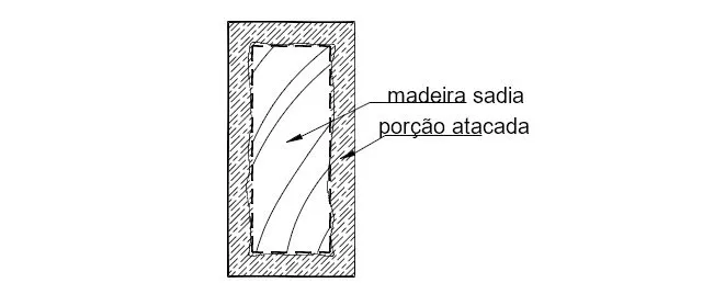 Estruturas de Madeira Deterioradas