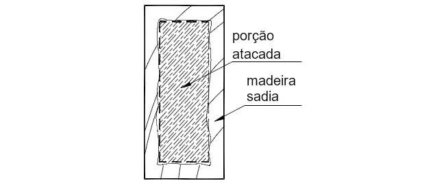 Avaliação de Estruturas de Madeira Deterioradas