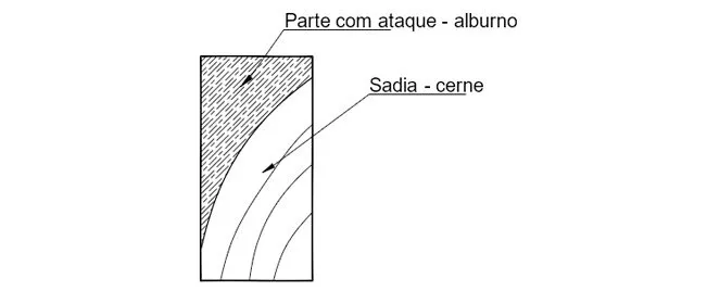 Avaliação de Estruturas de Madeira Deterioradas