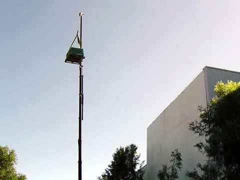 Telhado verde garante isolamento térmico